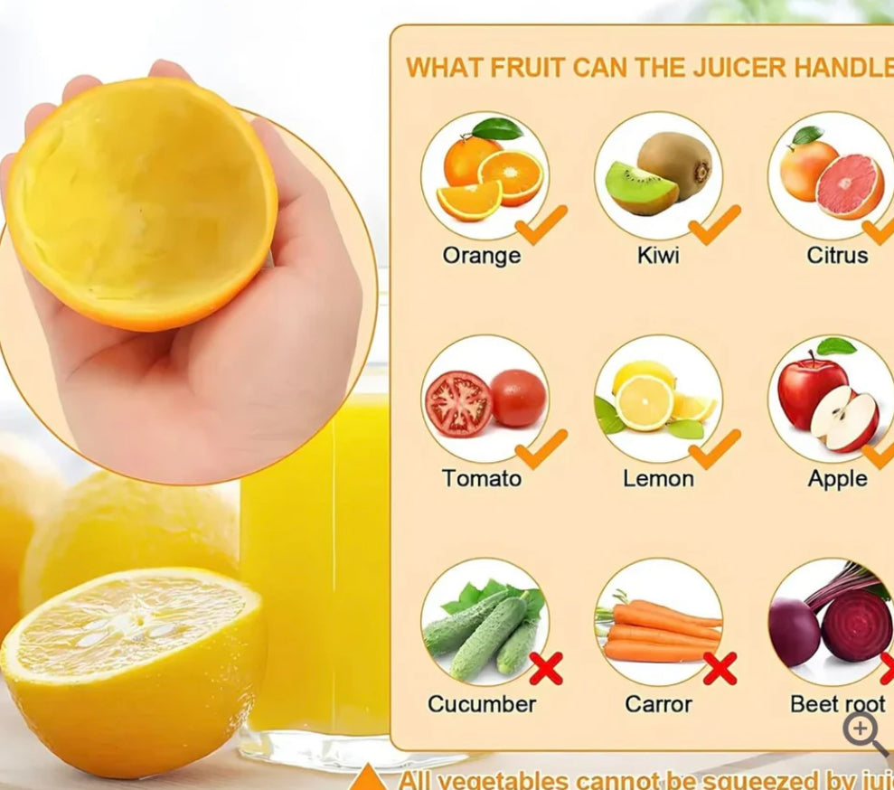 Electric Juice Maker